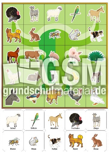 BG-Haustier Tafel grün.pdf
